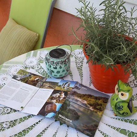 Apartment Mini *